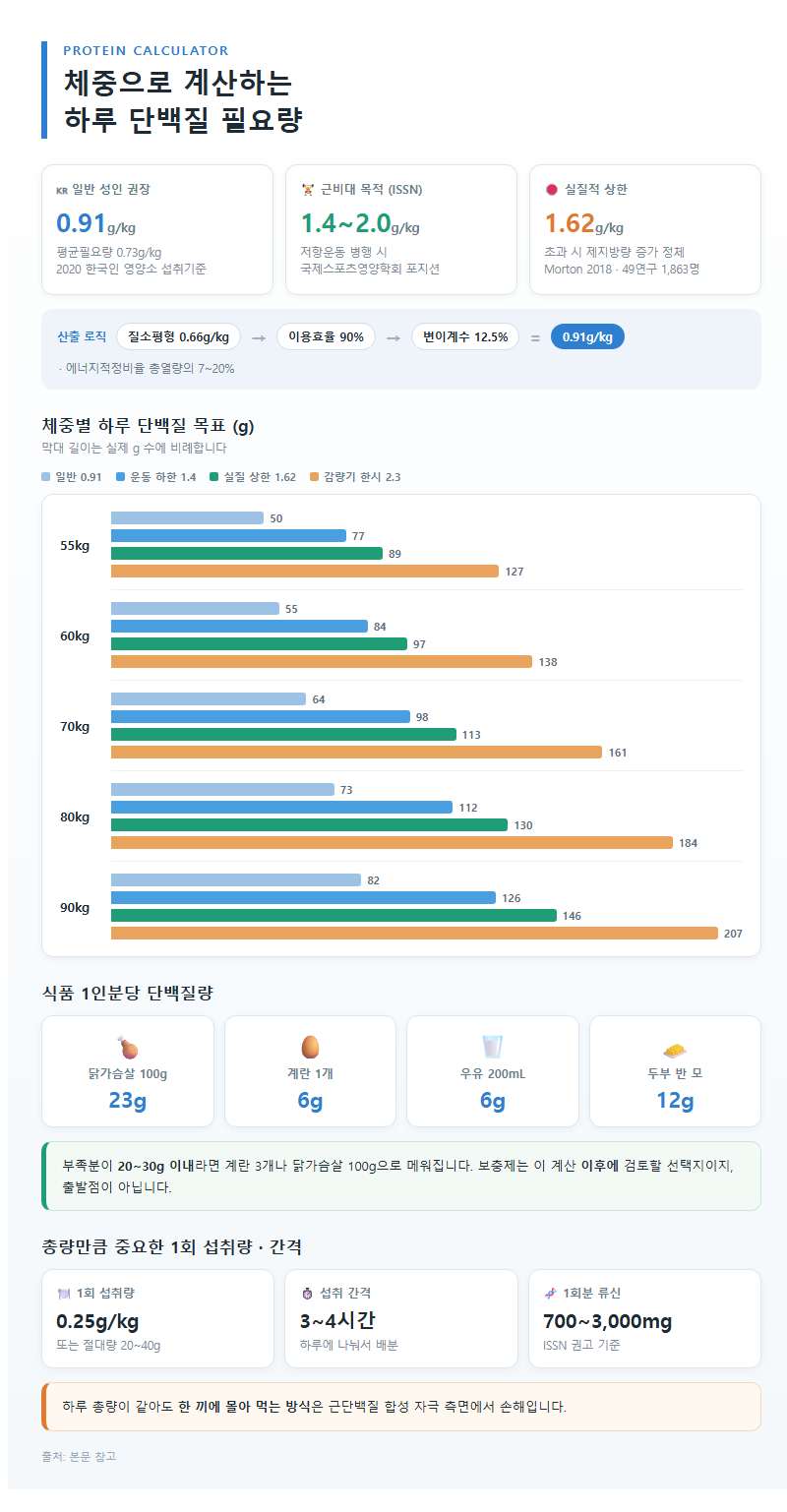 1. 체중으로 계산하는 하루 단백질 필요량