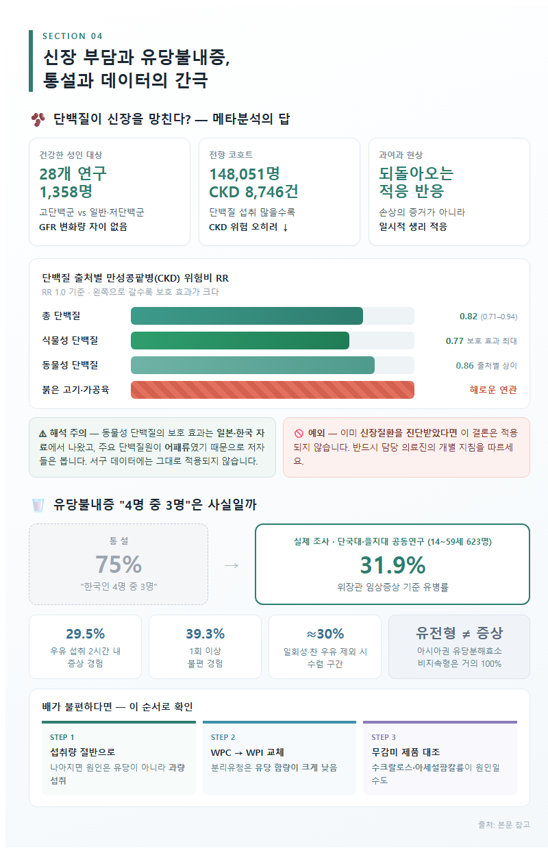 4. 신장 부담과 유당불내증, 통설과 데이터의 간극