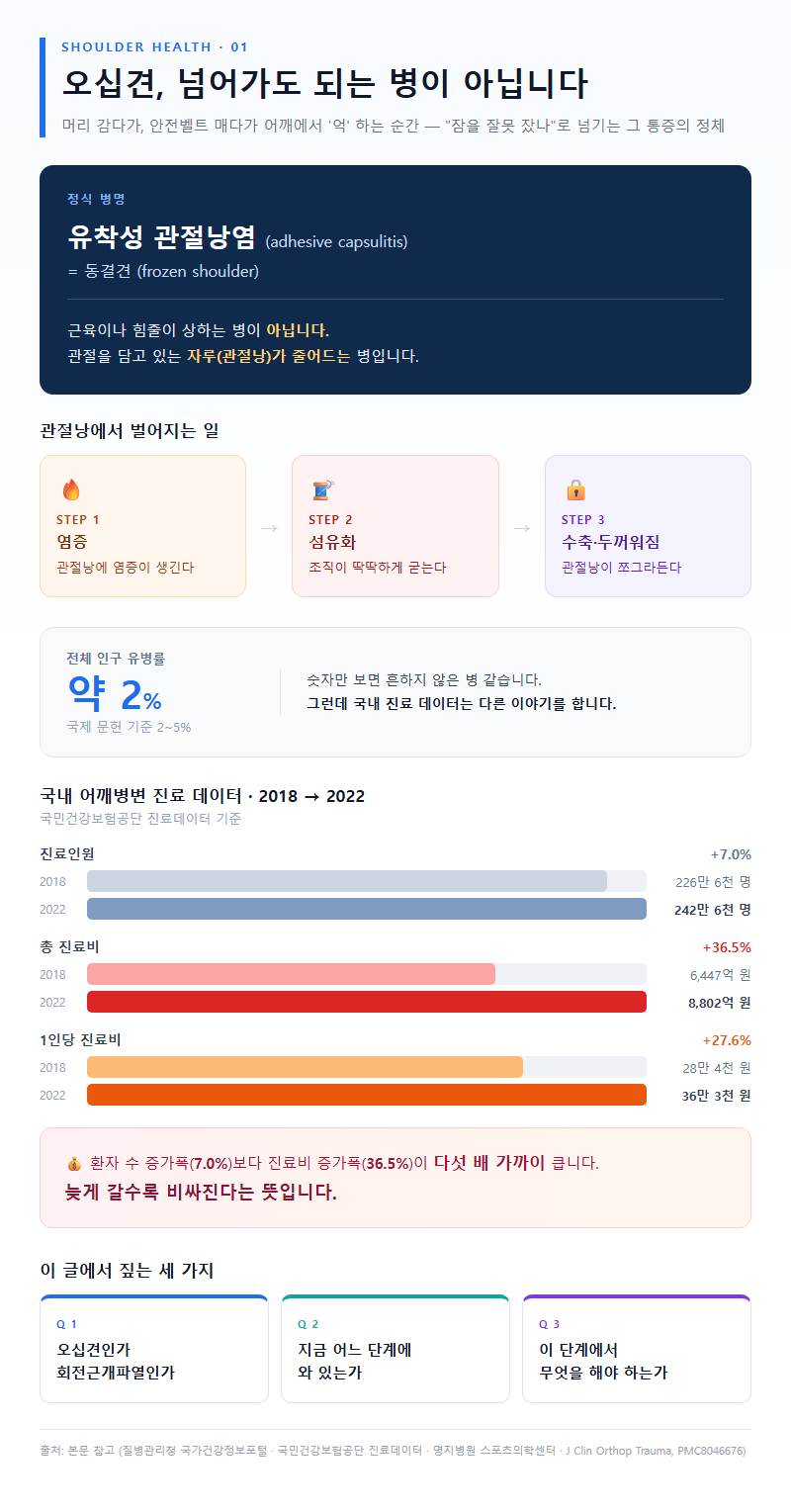 오십견증상 개요