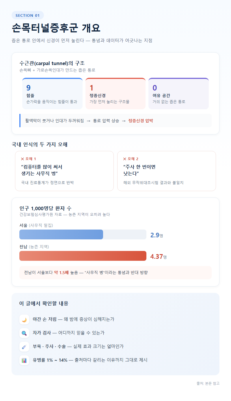 손목터널증후군 개요