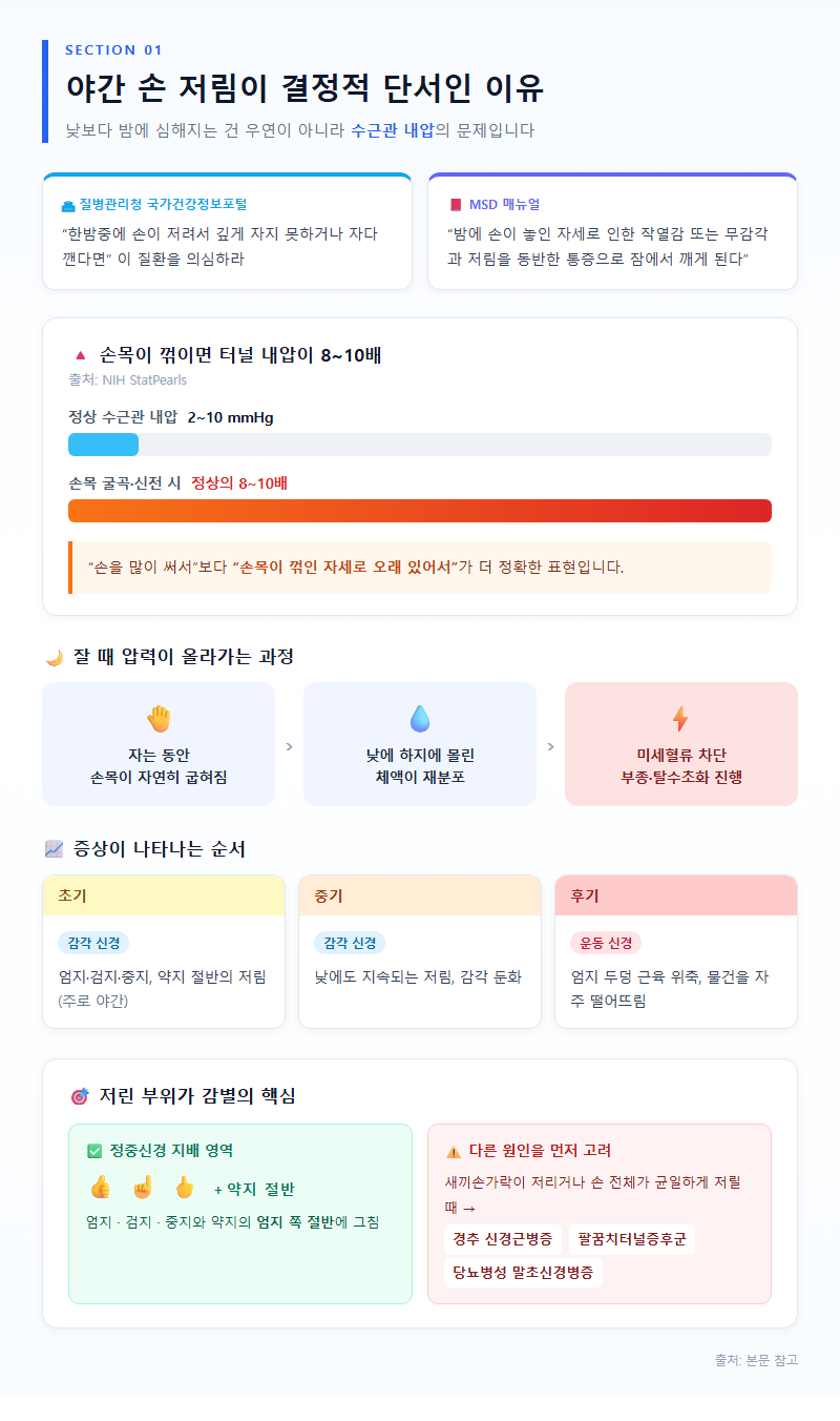 1. 야간 손 저림이 결정적 단서인 이유