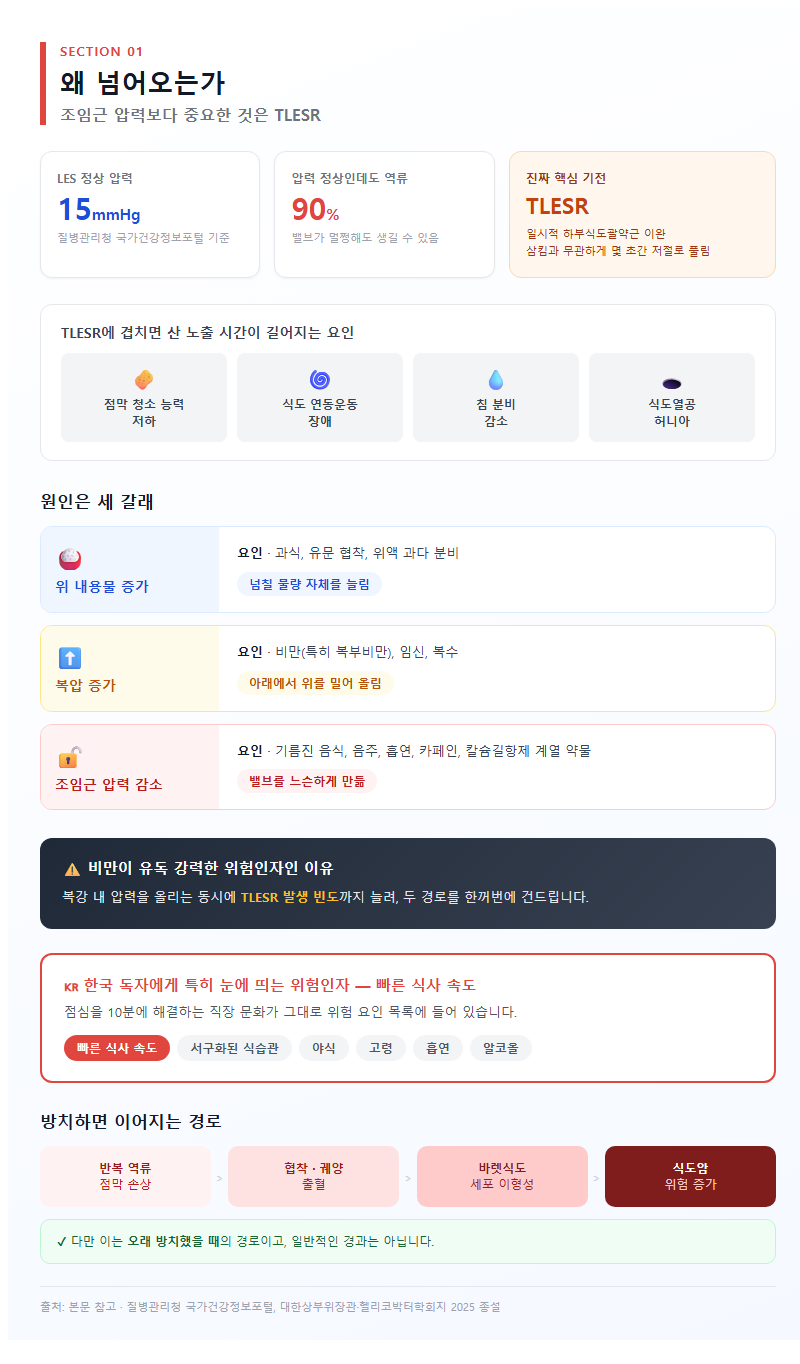 1. 왜 넘어오는가 — 조임근 압력보다 중요한 TLESR