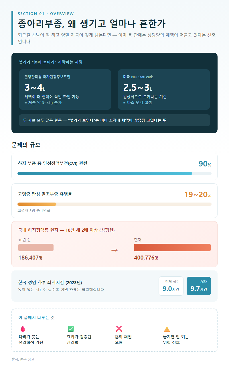 종아리부종 개요