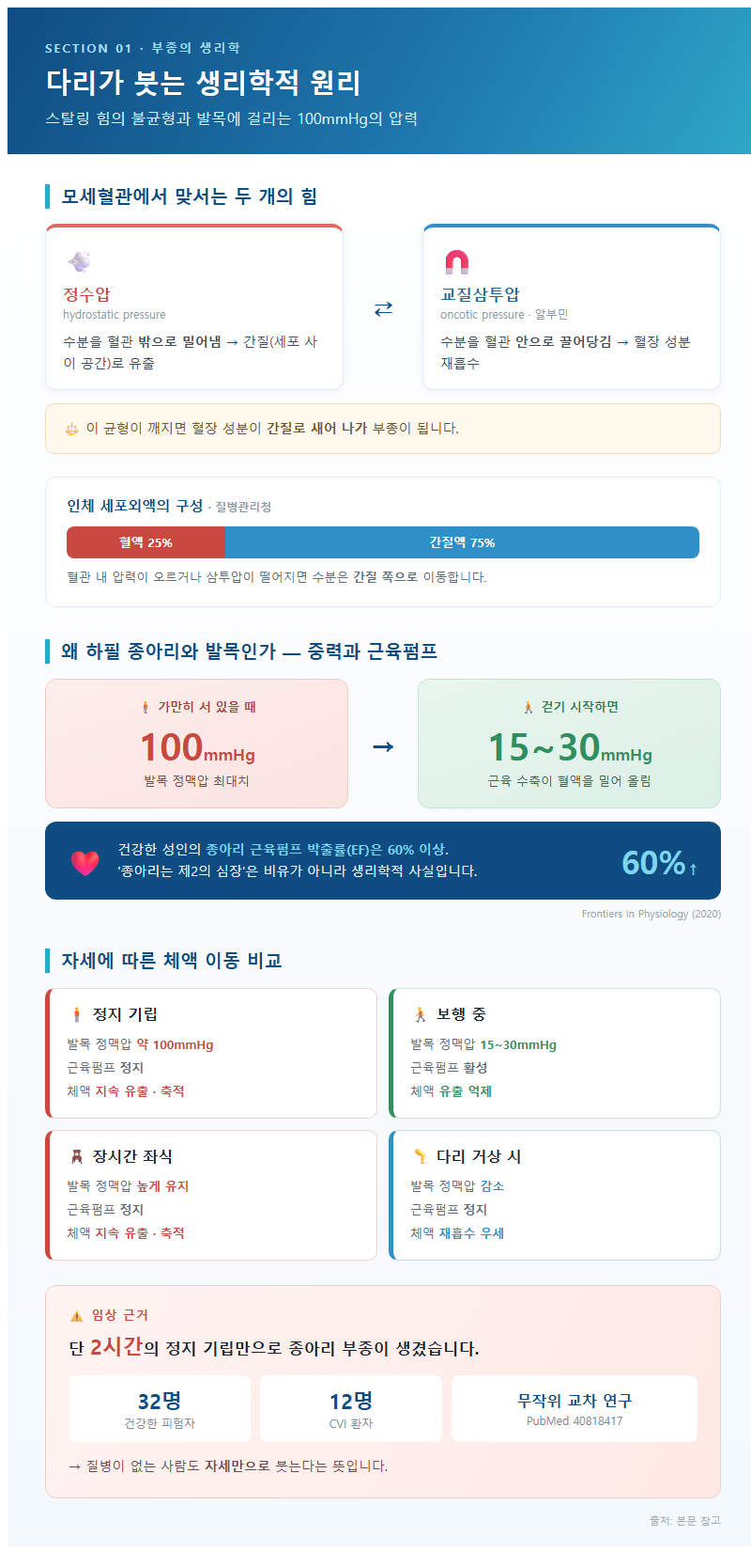 1. 다리가 붓는 생리학적 원리 — 스탈링 힘과 100mmHg의 압력
