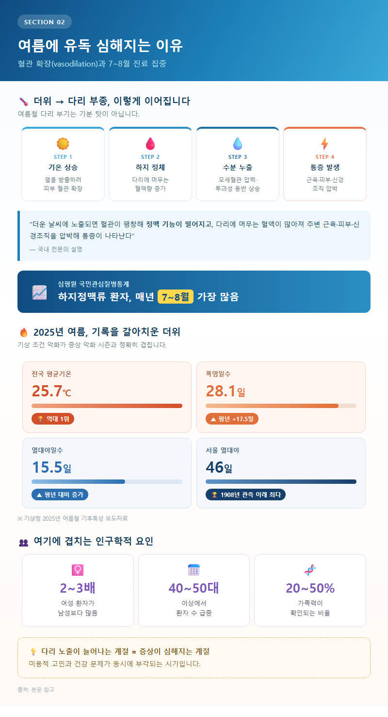 2. 여름에 유독 심해지는 이유 — 혈관 확장과 7~8월 진료 집중