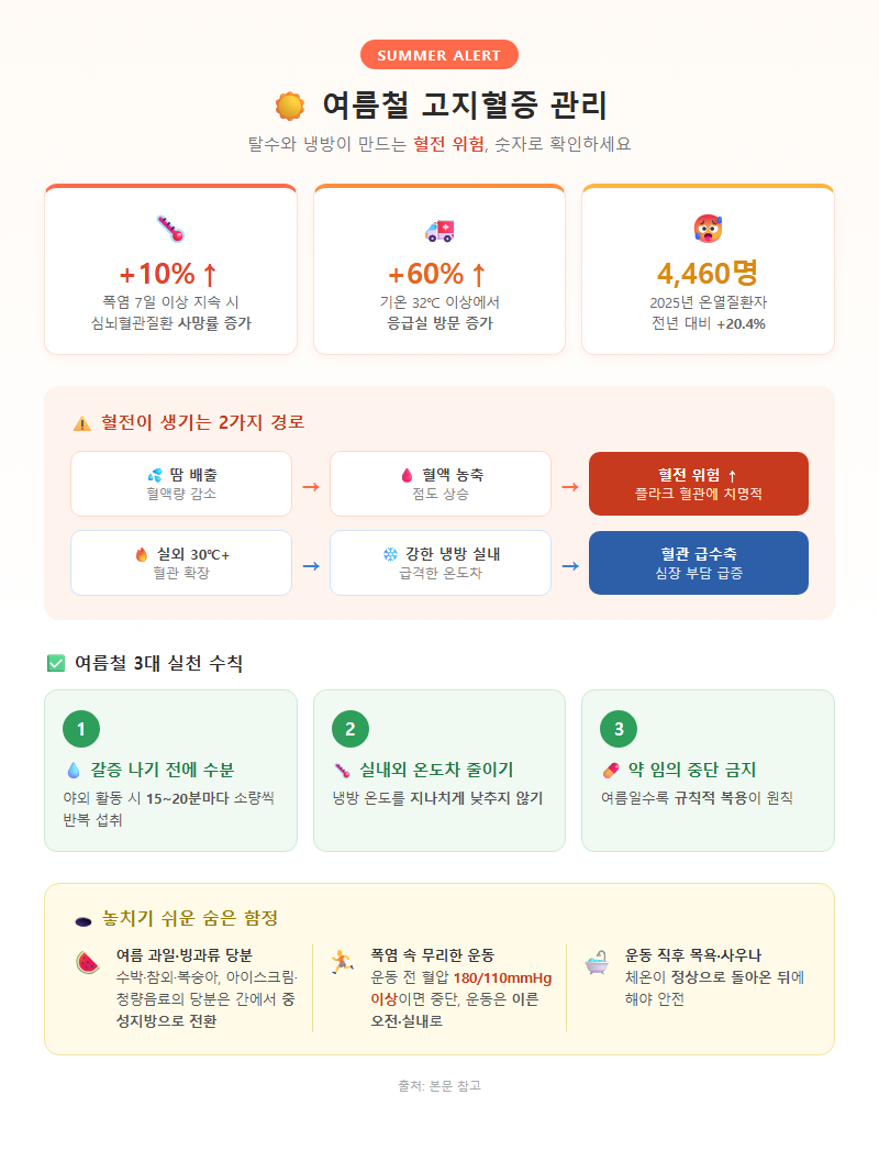 4. 여름철 고지혈증관리 — 탈수와 냉방이 만드는 혈전 위험