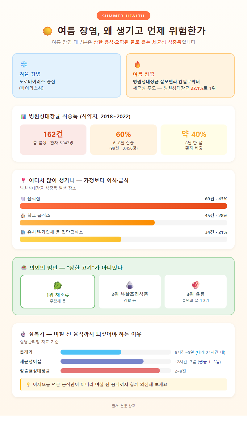 1. 여름 장염, 왜 생기고 언제 위험한가