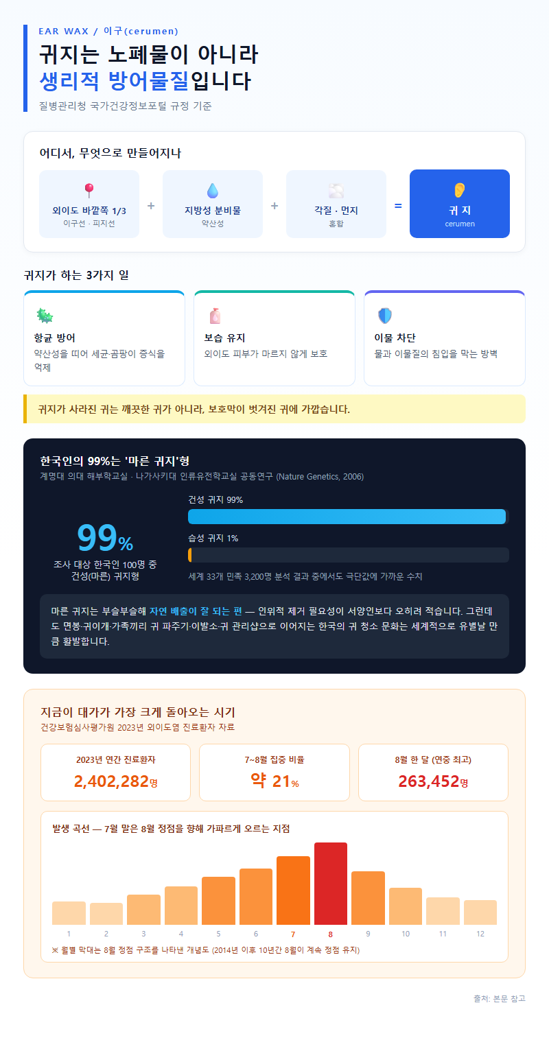 귀지제거 개요