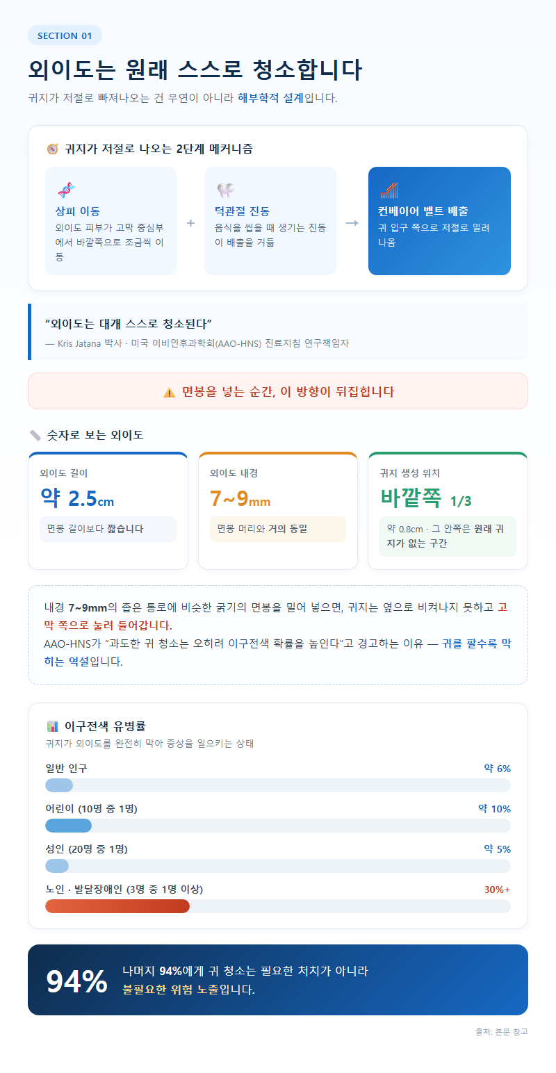 1. 외이도는 원래 스스로 청소합니다