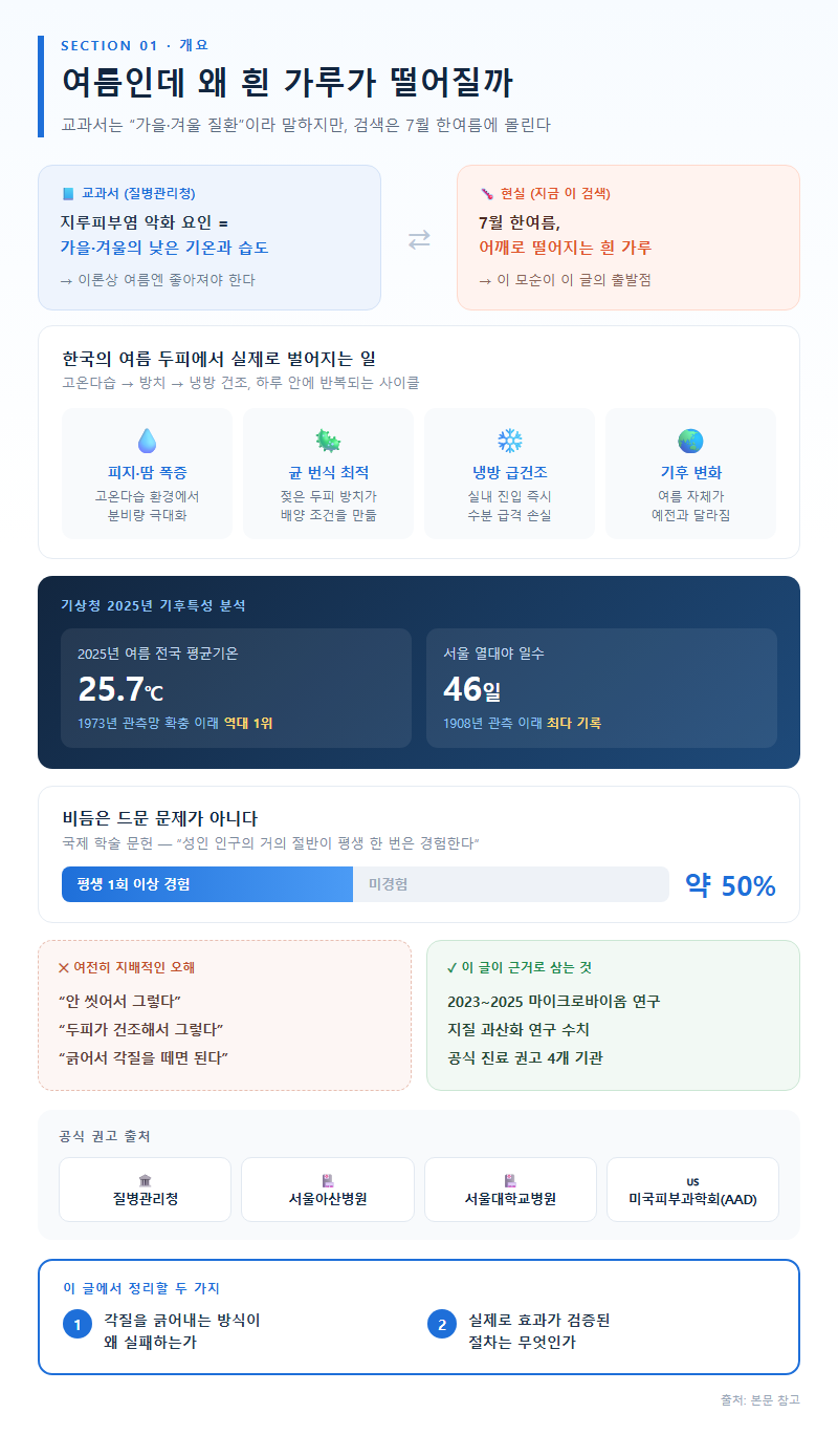 두피각질제거 개요