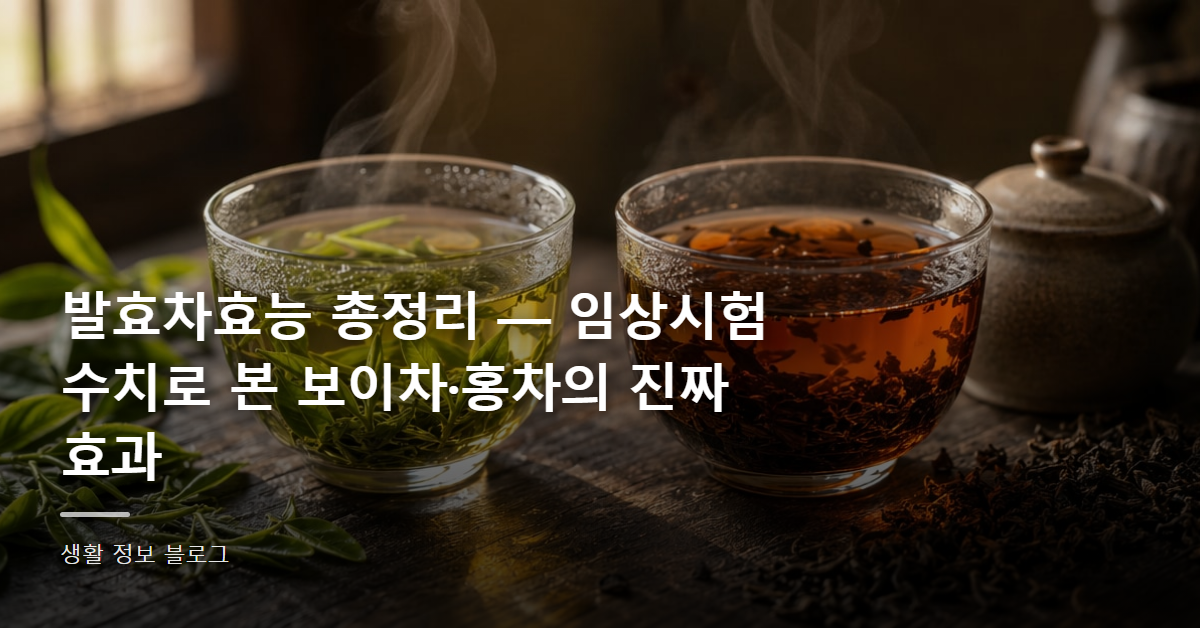 발효차효능 총정리 — 임상시험 수치로 본 보이차·홍차의 진짜 효과
