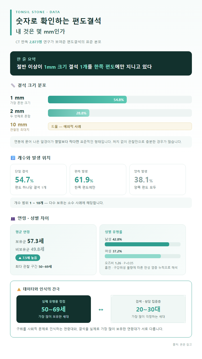 1. 숫자로 확인하는 편도결석: 내 것은 몇 mm인가