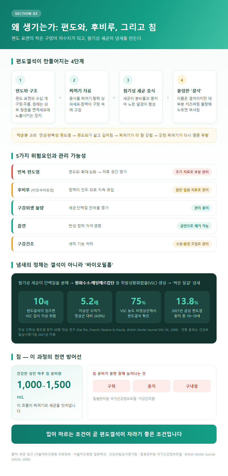 2. 왜 생기는가: 편도와, 후비루, 그리고 침