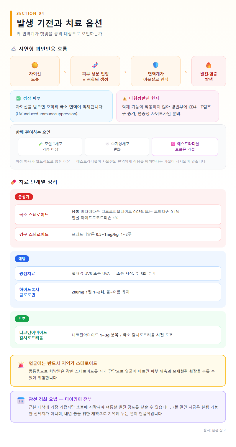 4. 발생 기전과 치료 옵션