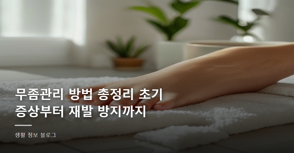 무좀관리 방법 총정리 초기 증상부터 재발 방지까지