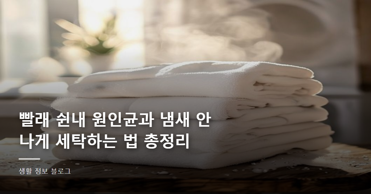 빨래 쉰내 원인균과 냄새 안 나게 세탁하는 법 총정리