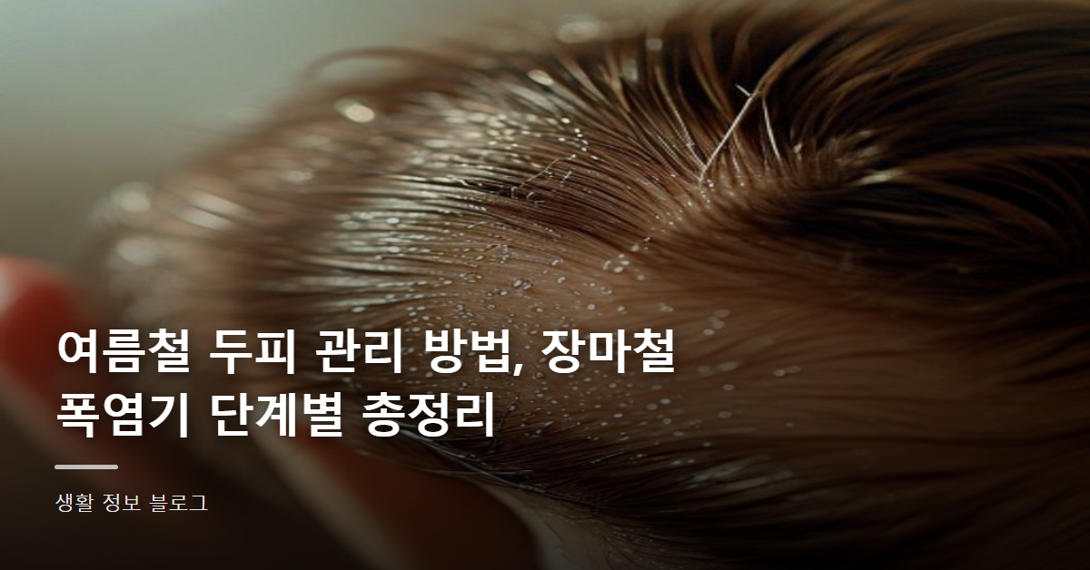 여름철 두피 관리 방법, 장마철·폭염기 단계별 총정리