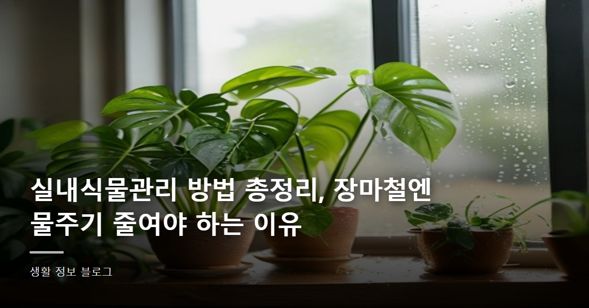 실내식물관리 방법 총정리, 장마철엔 물주기 줄여야 하는 이유