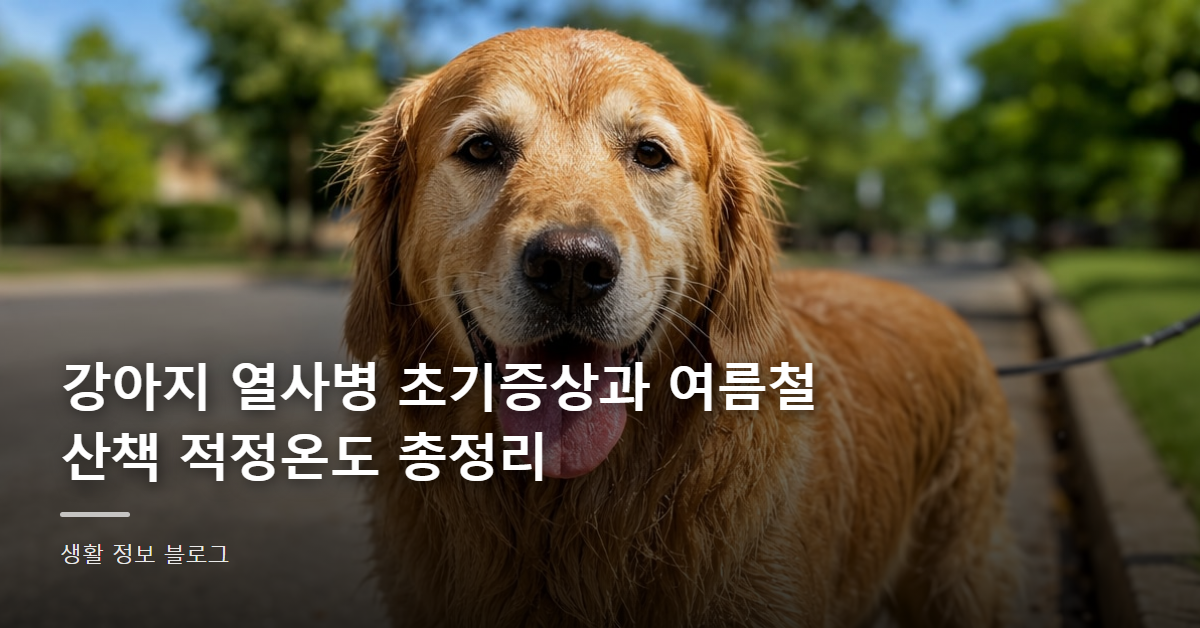 강아지 열사병 초기증상과 여름철 산책 적정온도 총정리