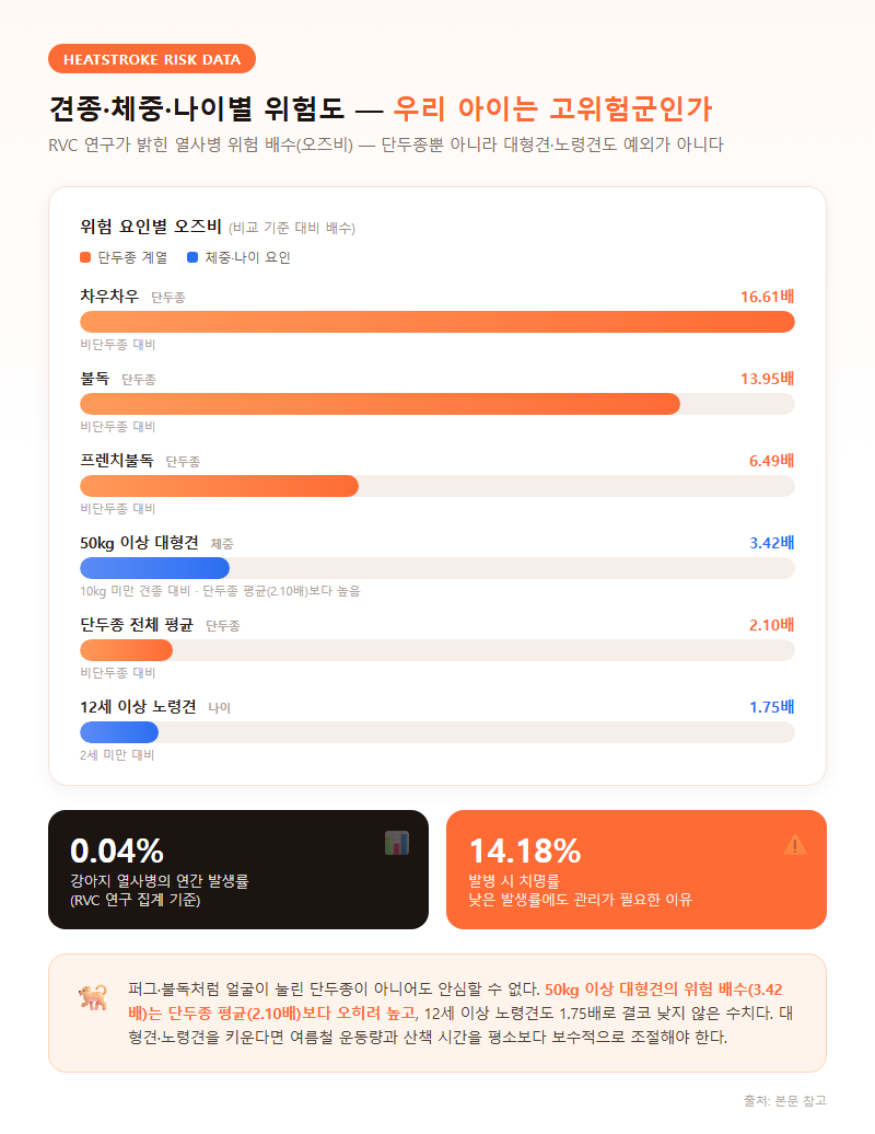 2. 견종·체중·나이별 위험도 — 우리 아이는 고위험군인가