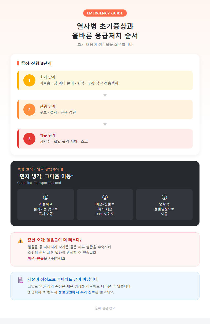3. 열사병 초기증상과 올바른 응급처치 순서