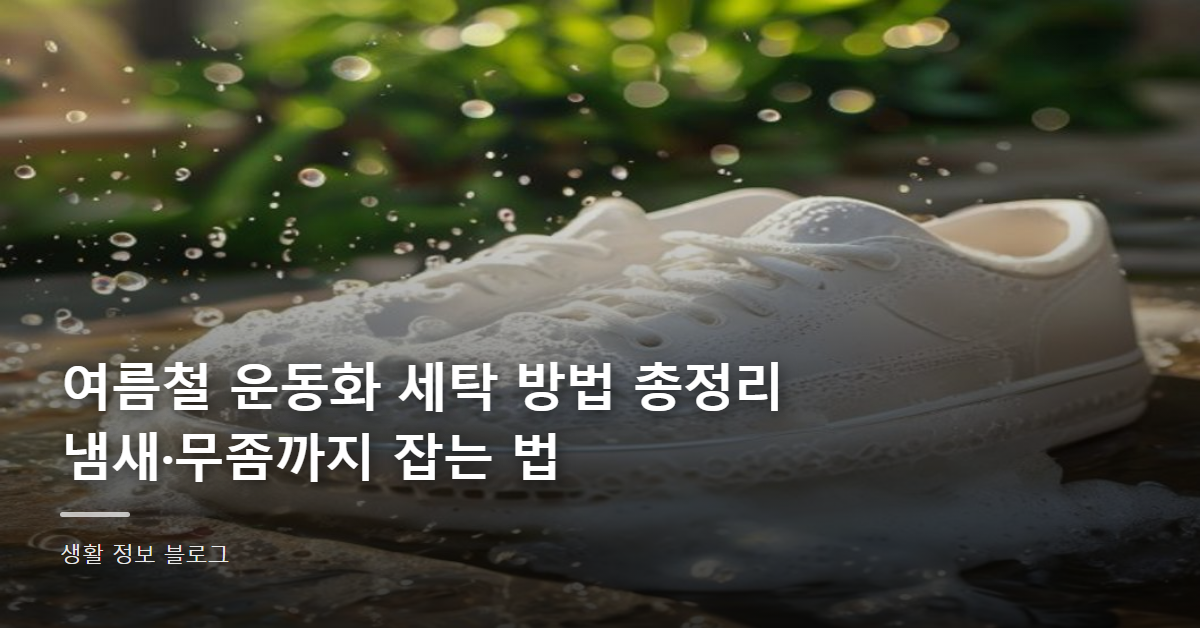 여름철 운동화 세탁 방법 총정리, 냄새·무좀까지 잡는 법