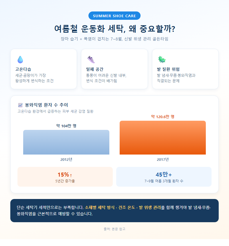 여름철운동화세탁 개요