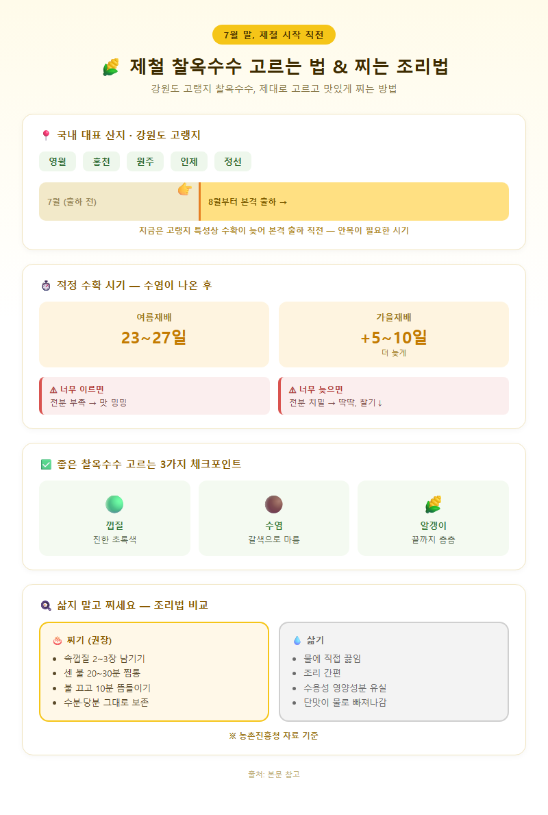 3. 제철 찰옥수수 고르는 법과 삶지 않고 찌는 조리법