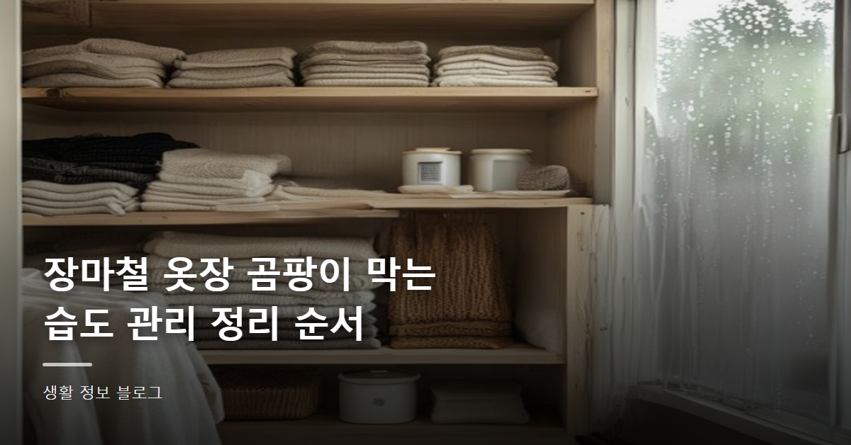 장마철 옷장 곰팡이 막는 습도 관리 정리 순서