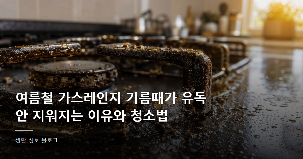 여름철 가스레인지 기름때가 유독 안 지워지는 이유와 청소법