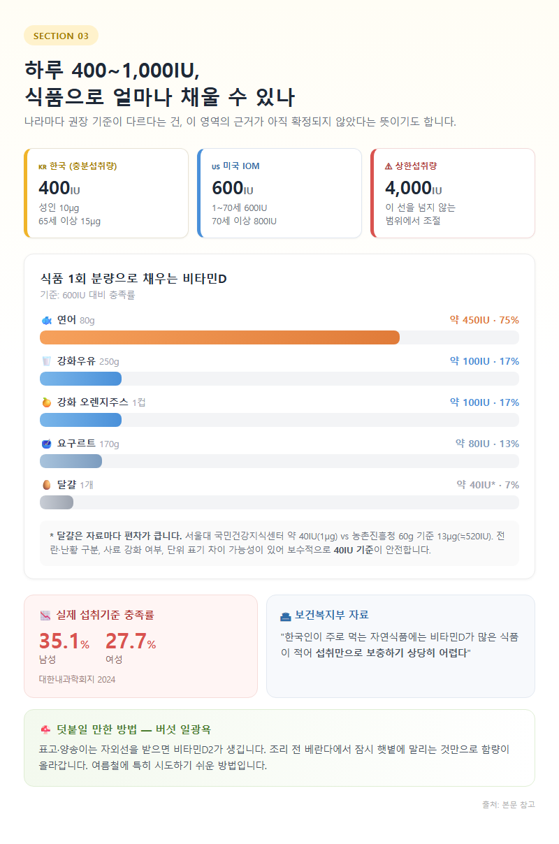 3. 하루 400~1,000IU, 식품으로 얼마나 채울 수 있나