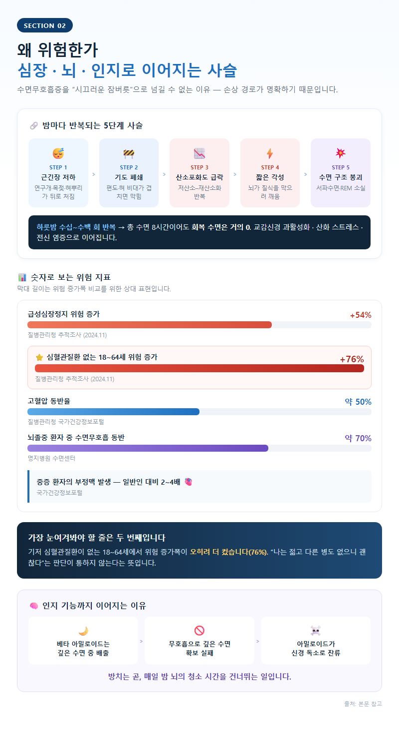2. 왜 위험한가 — 심장·뇌·인지로 이어지는 사슬