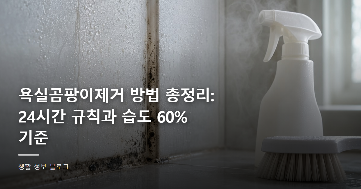 욕실곰팡이제거 방법 총정리: 24시간 규칙과 습도 60% 기준