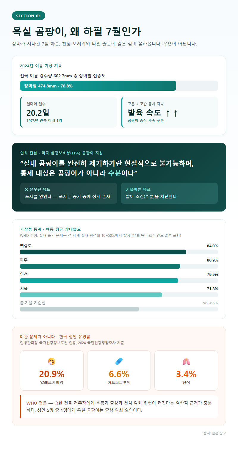욕실곰팡이제거 개요