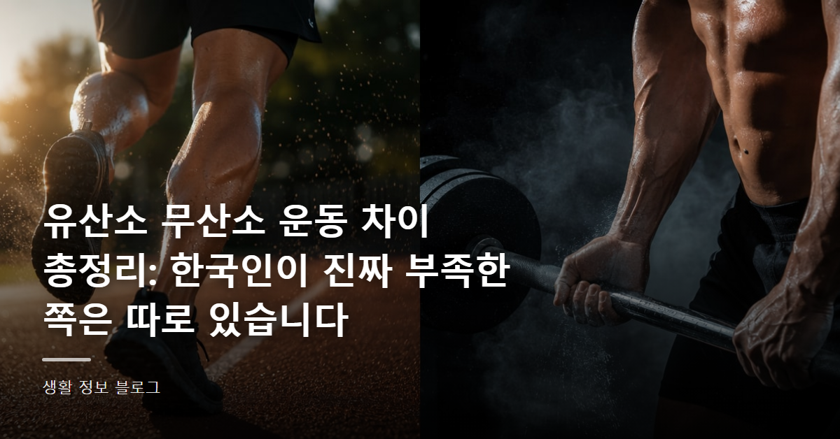 유산소 무산소 운동 차이 총정리: 한국인이 진짜 부족한 쪽은 따로 있습니다