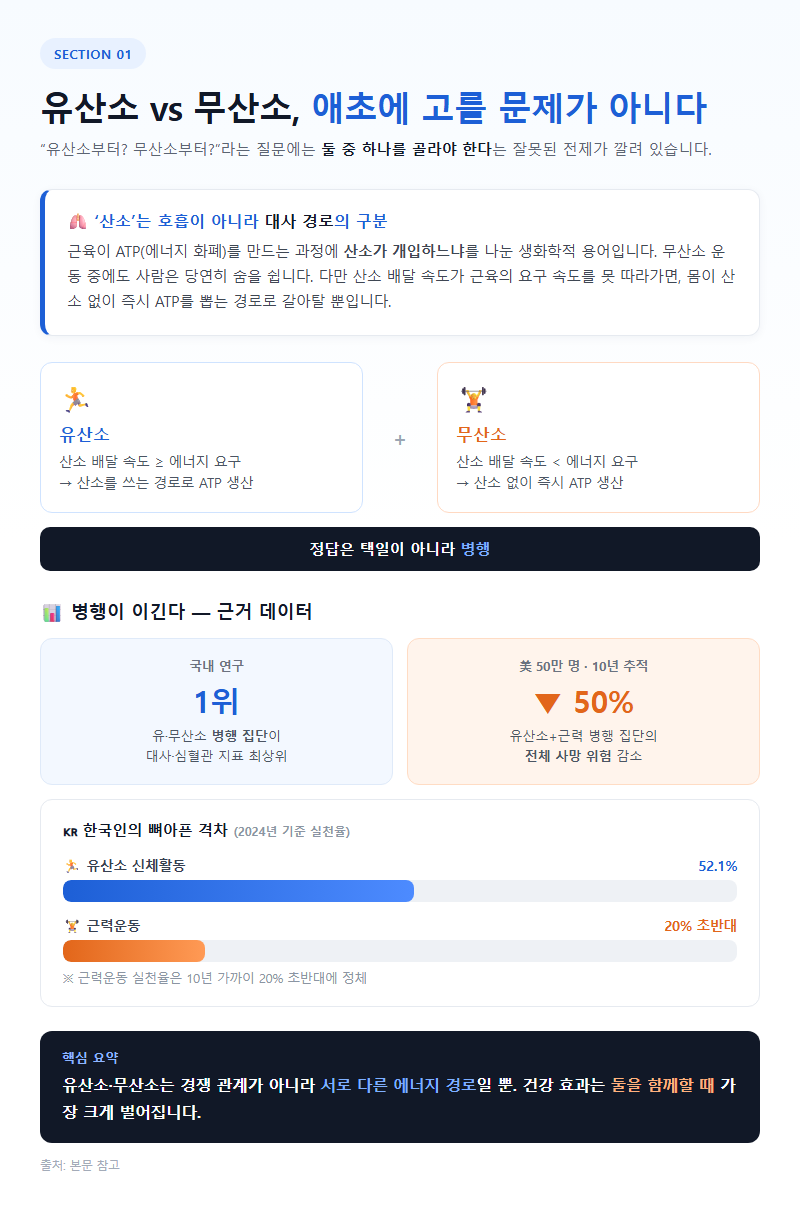 유산소무산소차이 개요