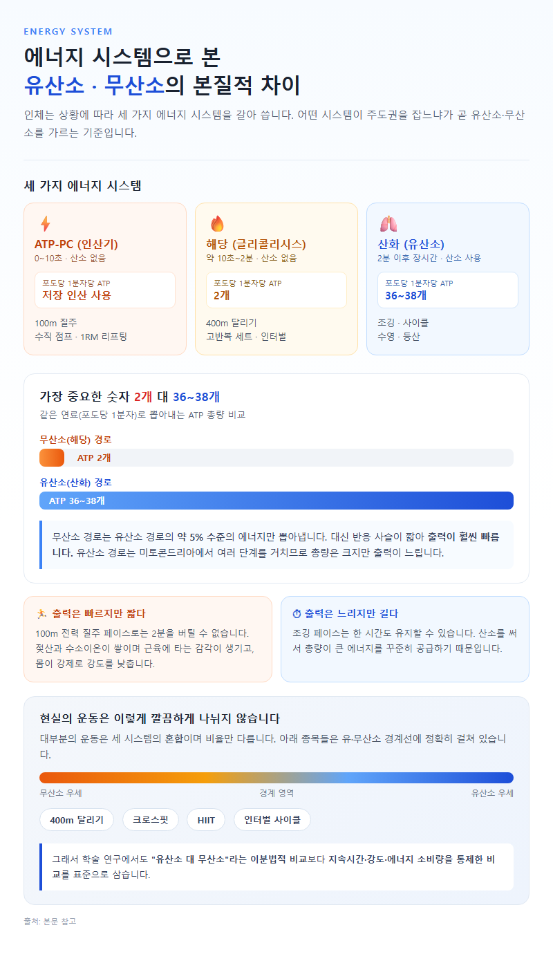 1. 에너지 시스템으로 본 두 운동의 본질적 차이