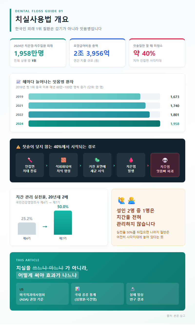 치실사용법 개요