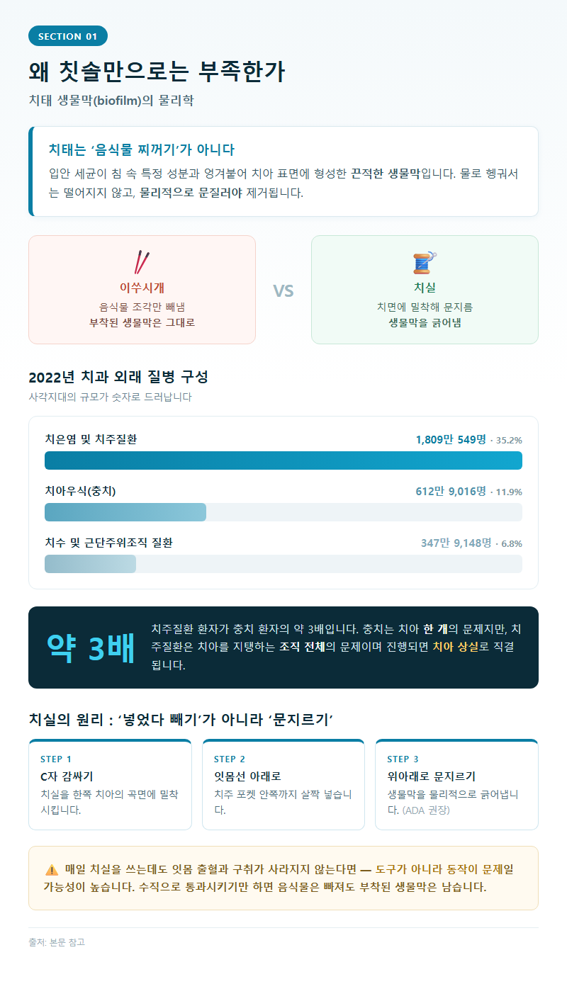 1. 왜 칫솔만으로는 부족한가: 치태 생물막의 물리학