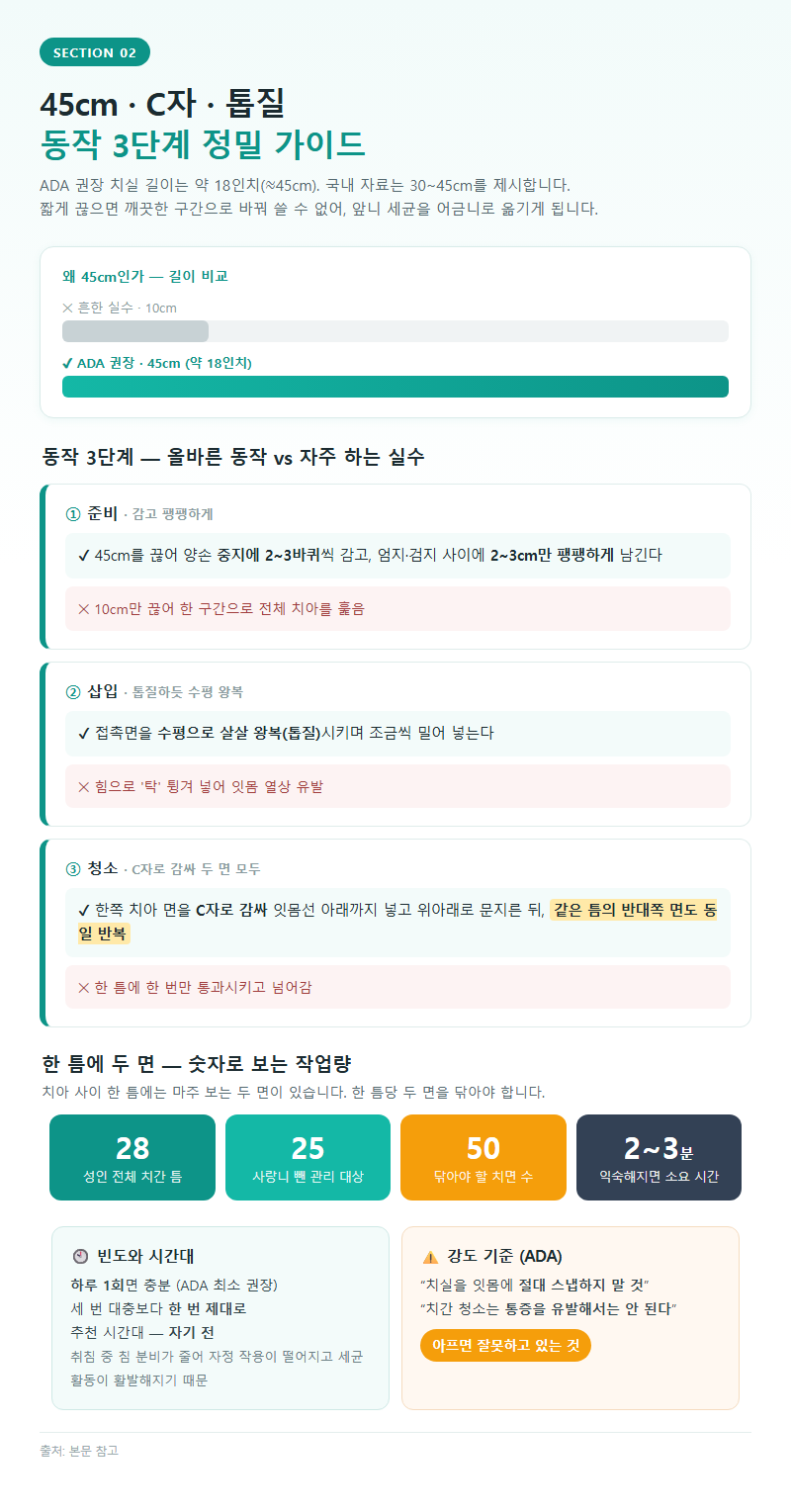 2. 45cm·C자·톱질: 동작 3단계 정밀 가이드