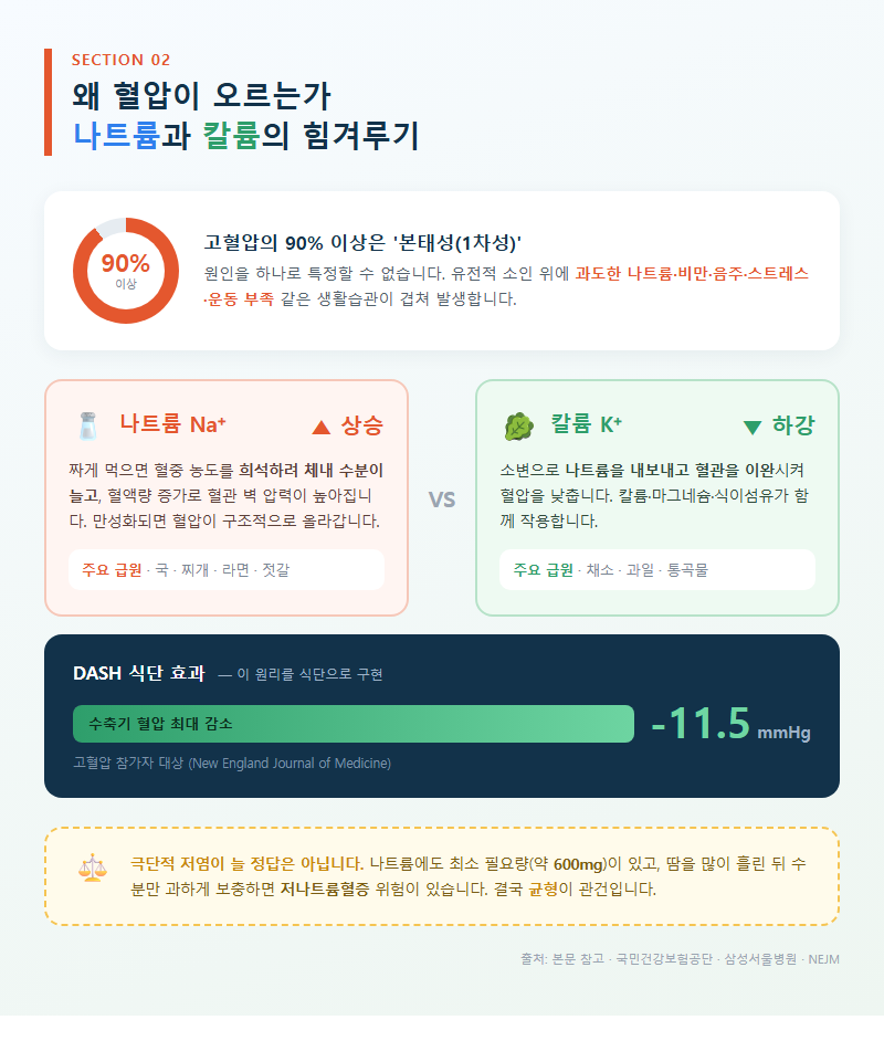 2. 왜 혈압이 오르는가: 나트륨과 칼륨의 힘겨루기