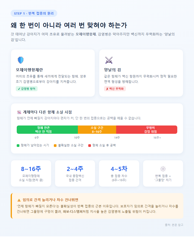 1. 왜 한 번이 아니라 여러 번 맞혀야 하는가 — 모체이행항체의 원리