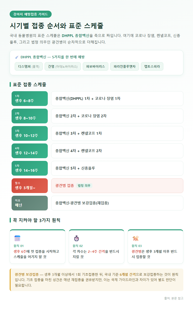 2. 시기별 접종 순서와 표준 스케줄