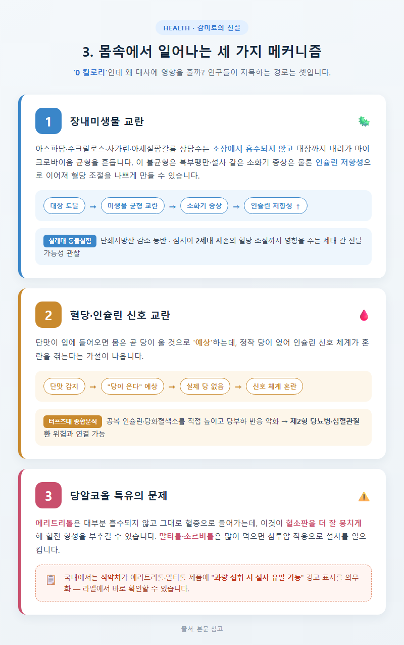 3. 몸속에서 일어나는 세 가지 메커니즘
