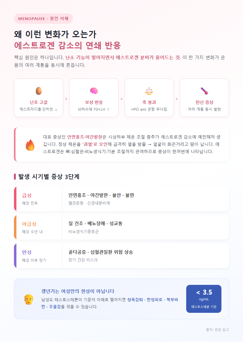 1. 왜 이런 변화가 오는가: 에스트로겐 감소의 연쇄 반응