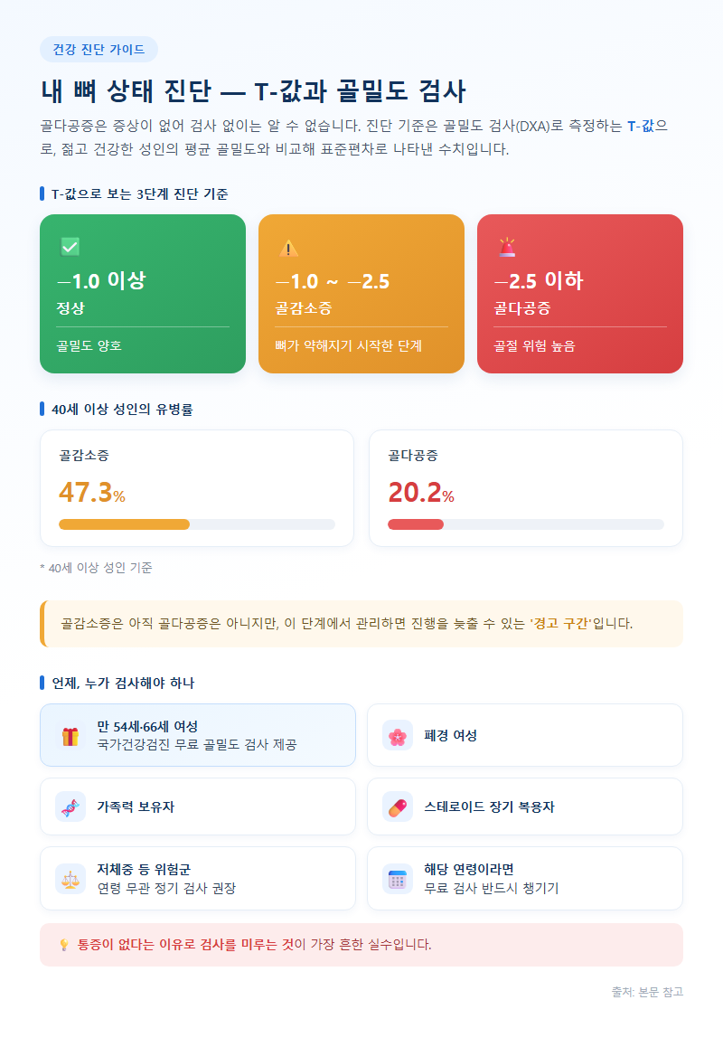 2. 내 뼈 상태 진단 — T-값과 골밀도 검사
