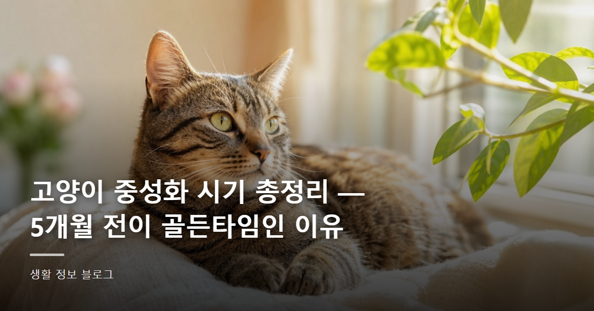 고양이 중성화 시기 총정리 — 5개월 전이 골든타임인 이유