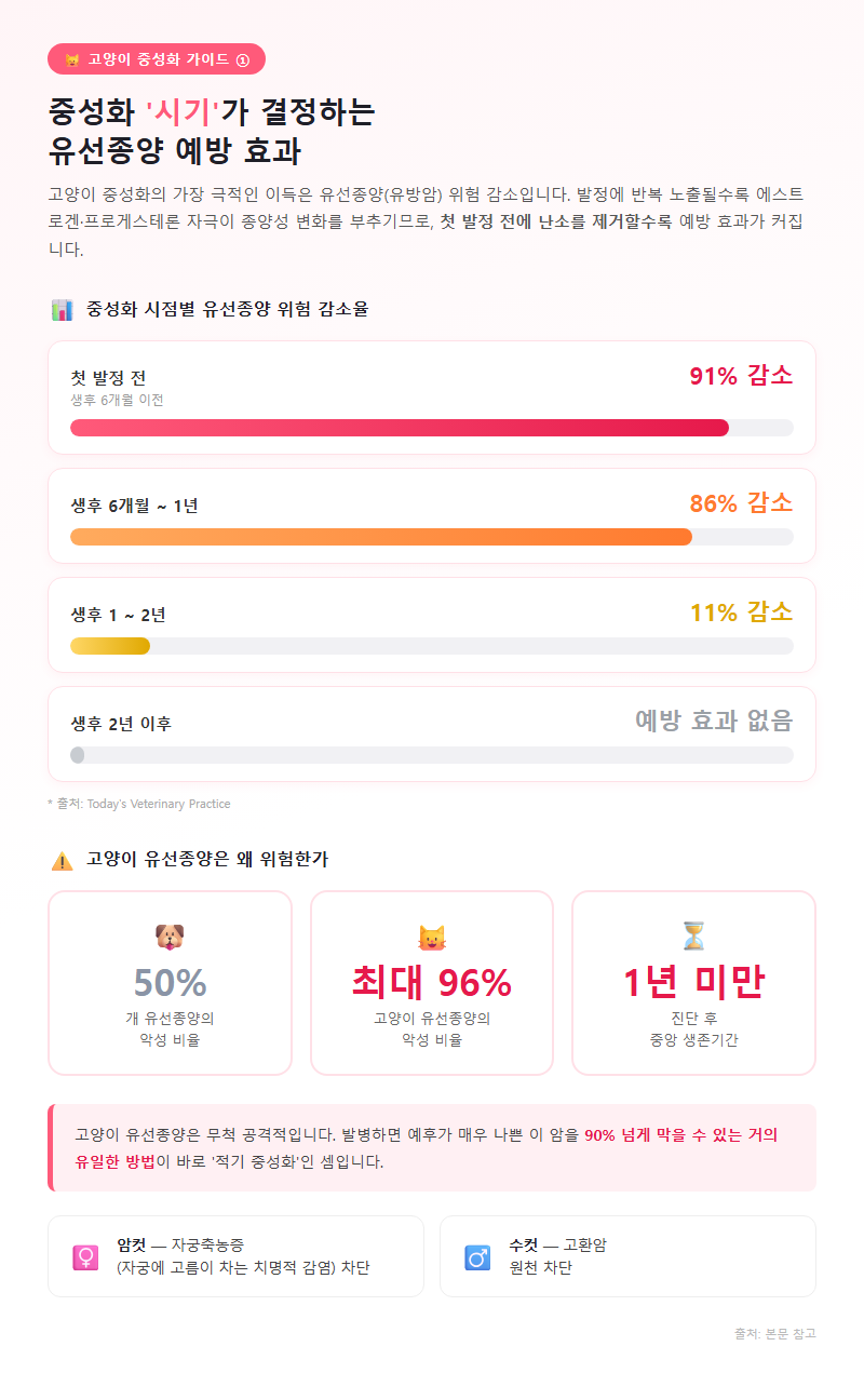 1. 중성화 시기가 결정하는 유선종양 예방 효과