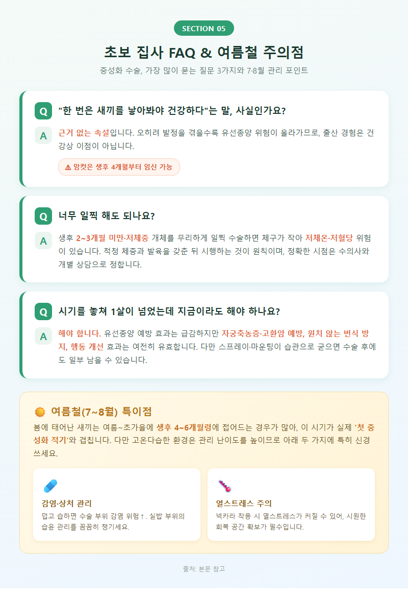 5. 초보 집사 FAQ와 여름철 주의점