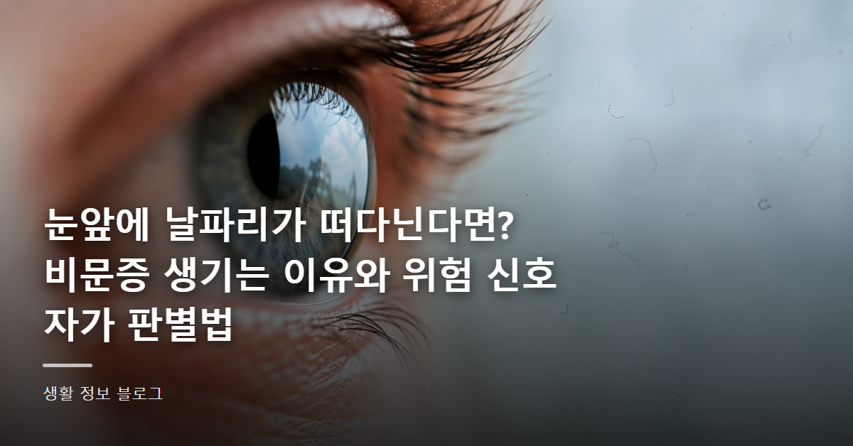 눈앞에 날파리가 떠다닌다면? 비문증 생기는 이유와 위험 신호 자가 판별법